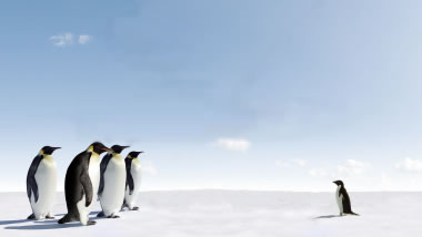 Imperor Pinguins Versus a Small  Pinguin