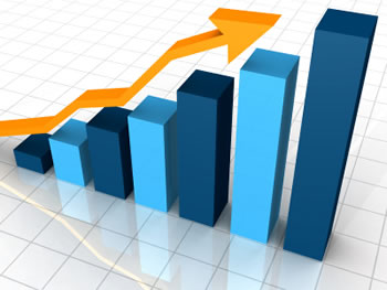Search Engine Rankings